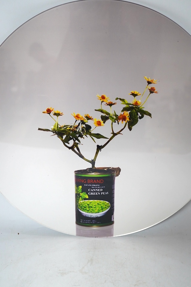 Edwin Roseno (Indonesian, b.1979), contemporary metallic photo print on plexiglass, green hypermarket series, Bunga Matahari Kecil Mini Sunflower, limited edition 5/5, with certificate of authenticity, signed by the arti